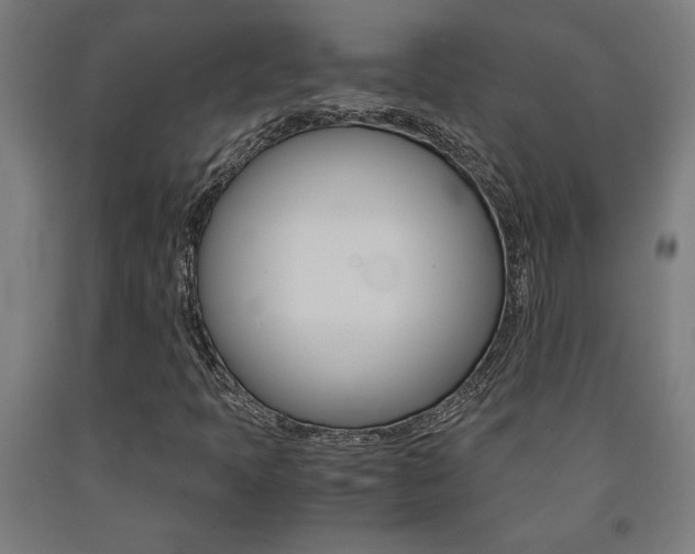 X0000093241397200709261520