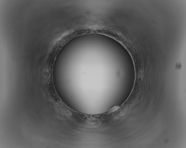 X0000093241398200709261520