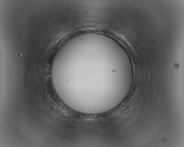 X0000093241399200709261520