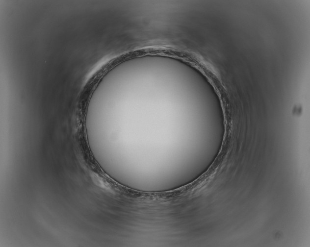 X0000093241400200709261520
