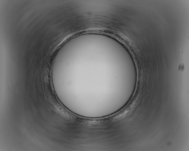 X0000093241401200709261520
