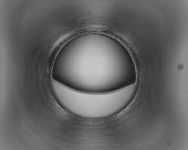 X0000093241402200709261520