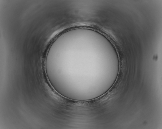 X0000093241404200709261520