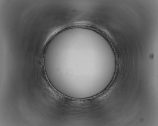 X0000093241405200709261520
