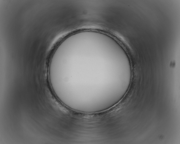 X0000093241408200709261520