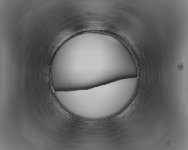 X0000093241409200709261520