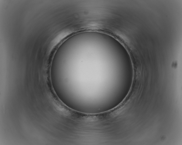 X0000093241410200709261521