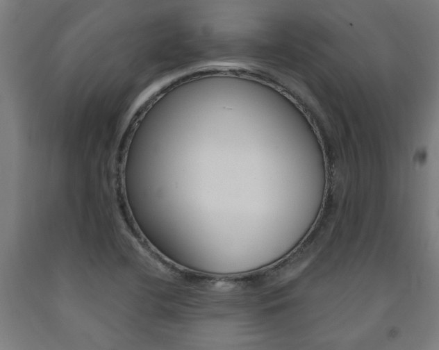X0000093241412200709261521
