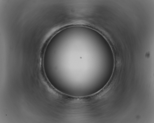 X0000093241414200709261521