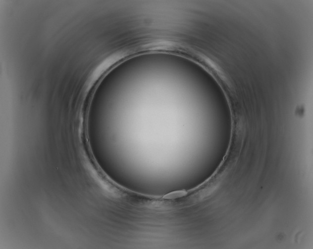 X0000093241418200709261521
