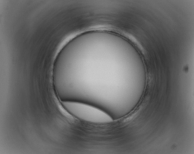 X0000093241421200709261521