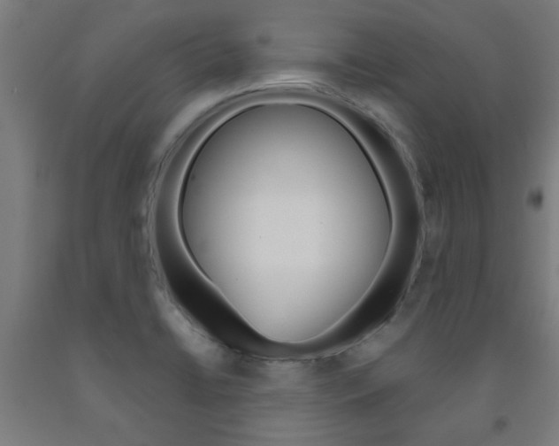 X0000093241422200709261521