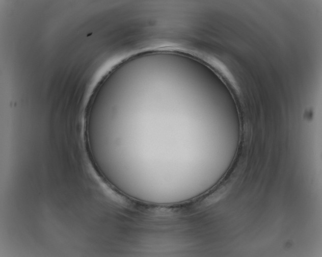 X0000093241424200709261521