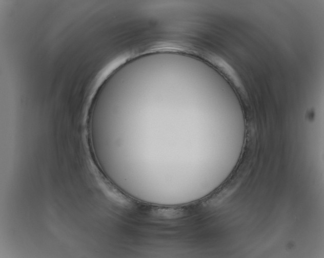 X0000093241427200709261521