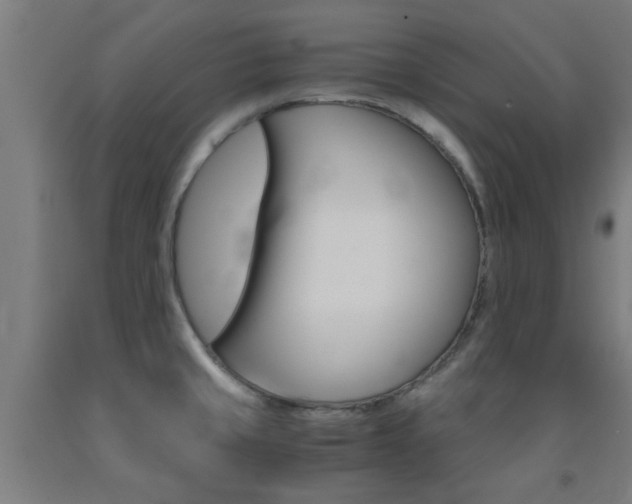 X0000093241429200709261521