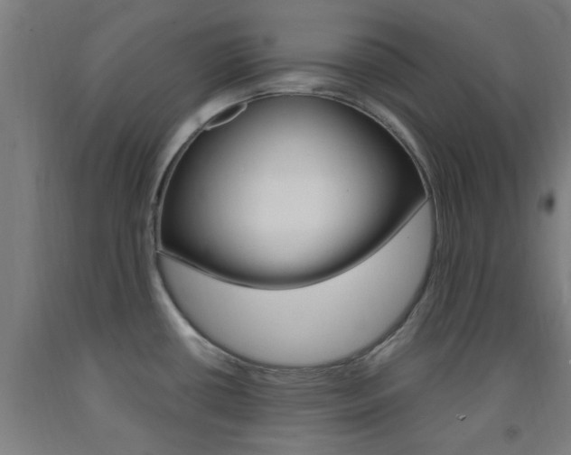 X0000093241434200709261521