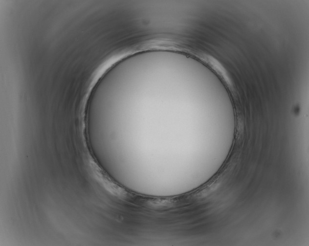 X0000093241435200709261521