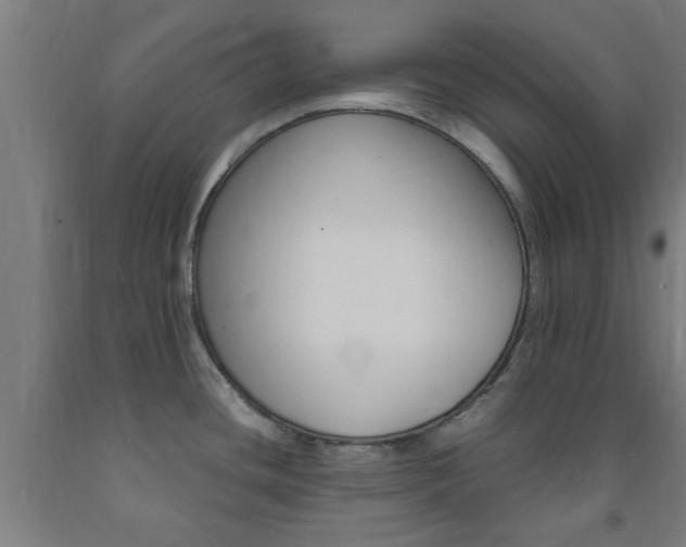 X0000093241436200709261521
