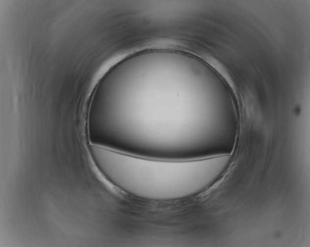 X0000093241437200709261521
