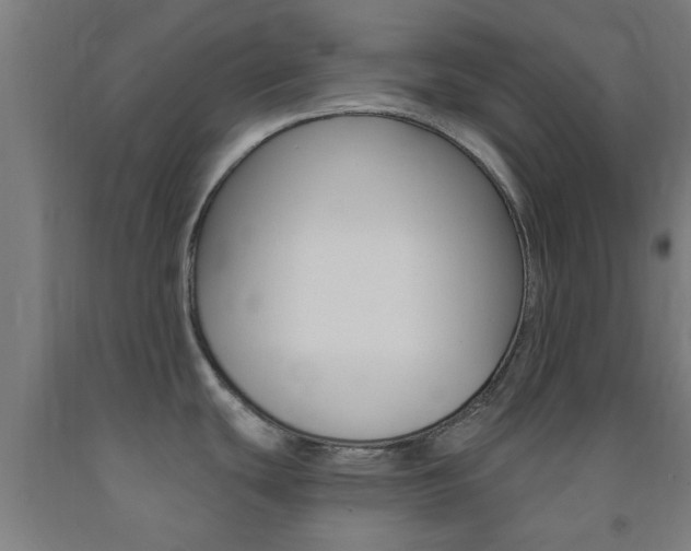 X0000093241439200709261521
