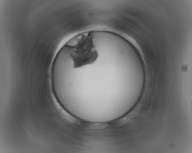 X0000093241440200709261521