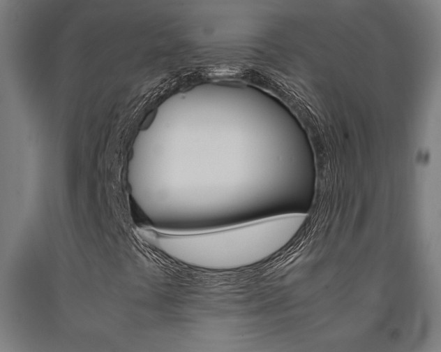 X0000093241441200709261520