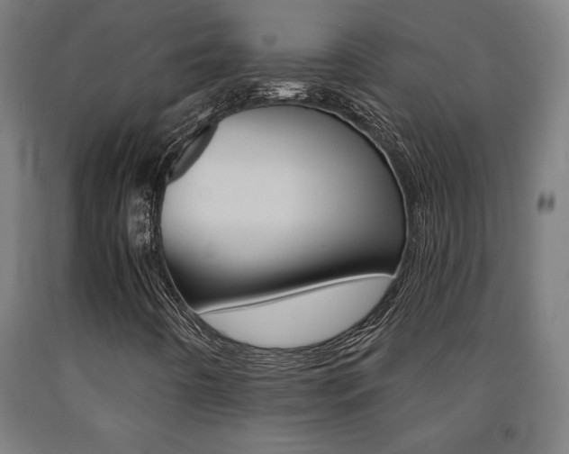X0000093241442200709261520