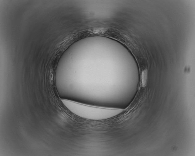X0000093241443200709261520