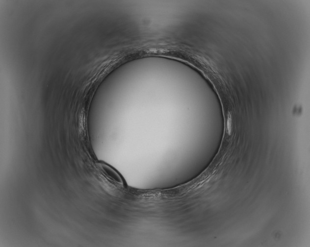 X0000093241444200709261520