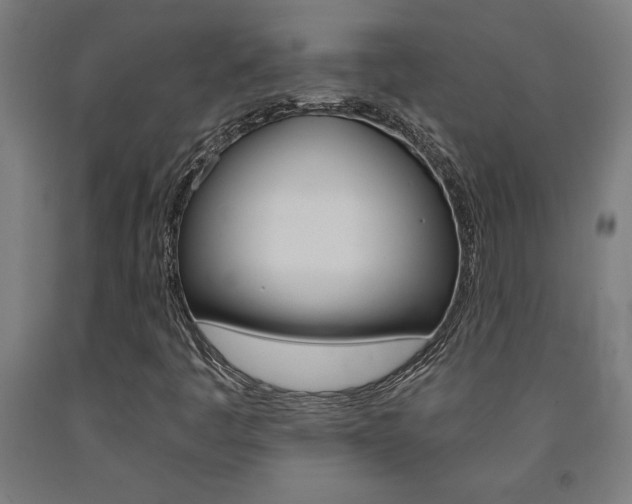 X0000093241445200709261520