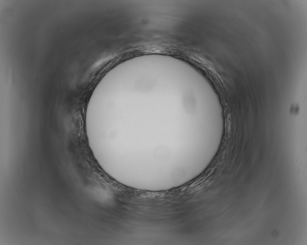 X0000093241446200709261520