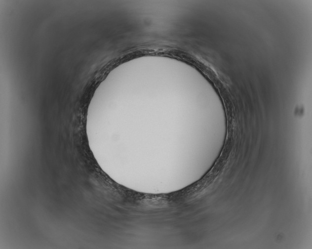 X0000093241447200709261520