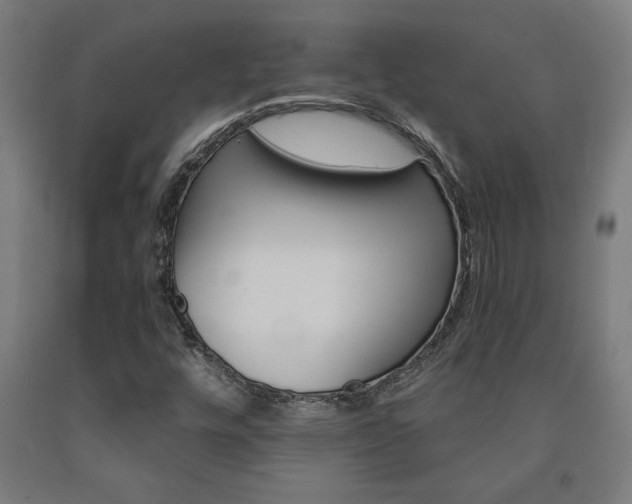 X0000093241448200709261520