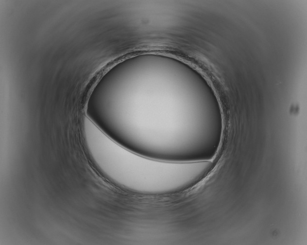 X0000093241449200709261520
