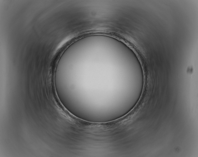 X0000093241450200709261520