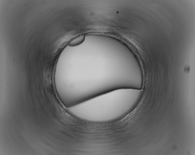 X0000093241451200709261520