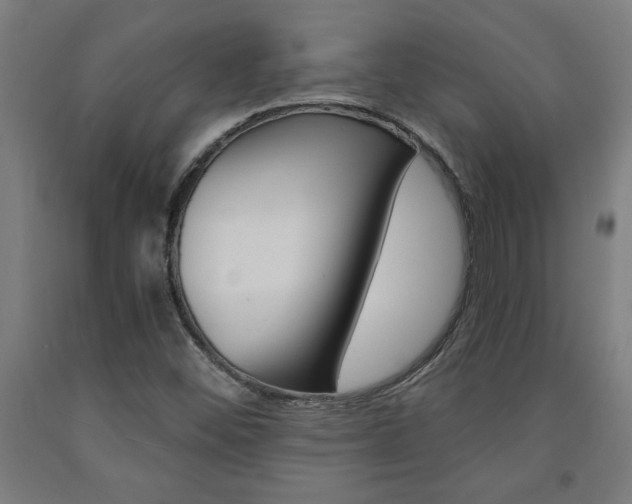 X0000093241452200709261520