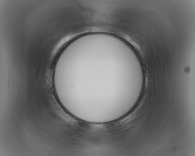 X0000093241454200709261520