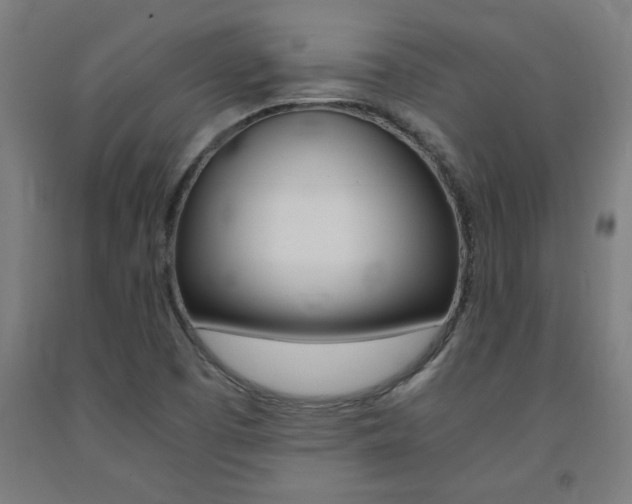 X0000093241457200709261520