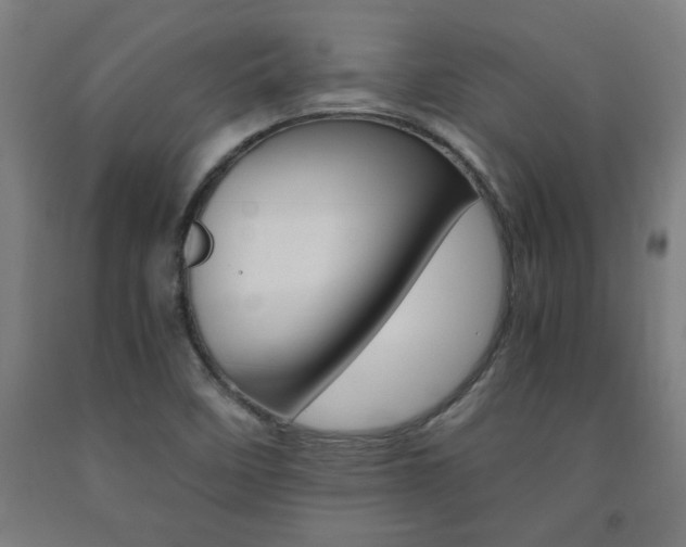 X0000093241458200709261520