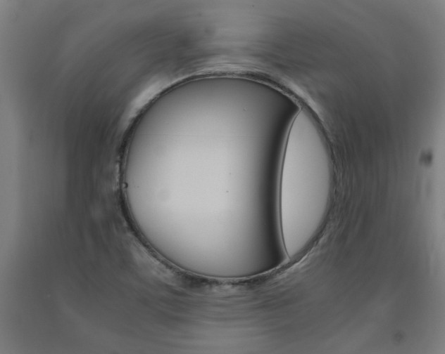 X0000093241459200709261520
