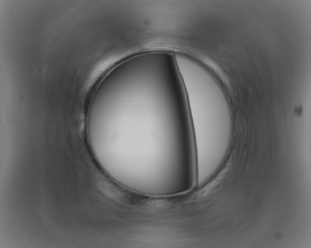 X0000093241461200709261520
