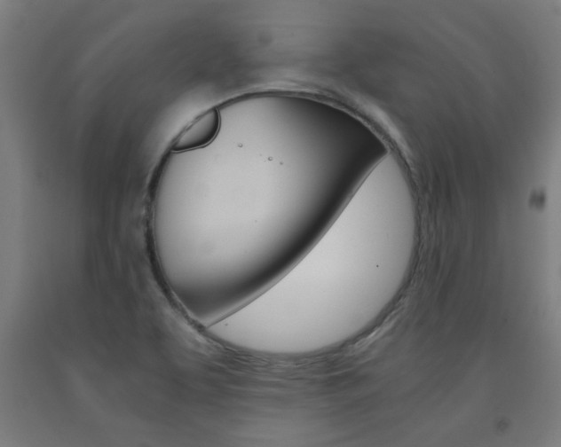 X0000093241463200709261520