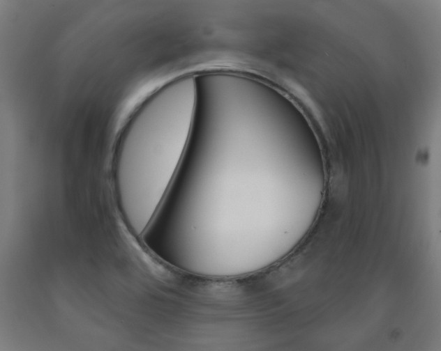 X0000093241464200709261520