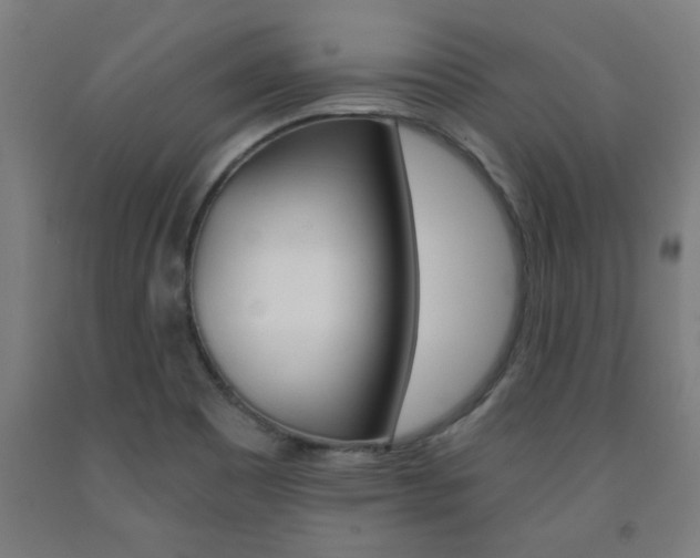 X0000093241465200709261520