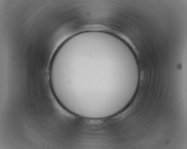 X0000093241466200709261520