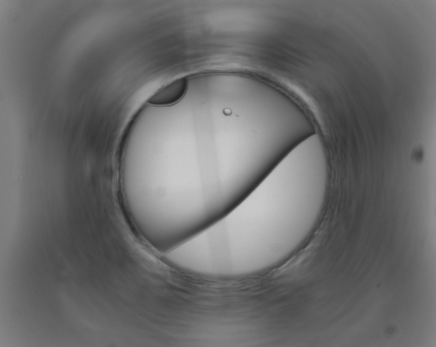X0000093241467200709261520