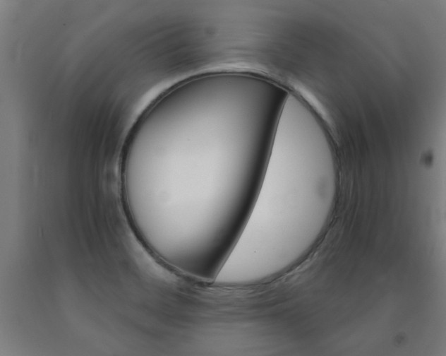 X0000093241468200709261520