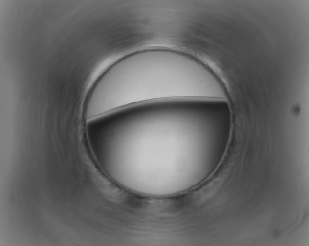 X0000093241469200709261520