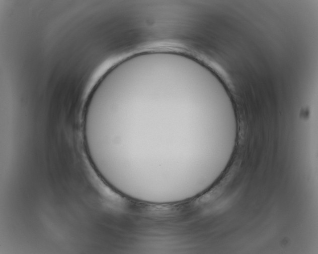 X0000093241470200709261520